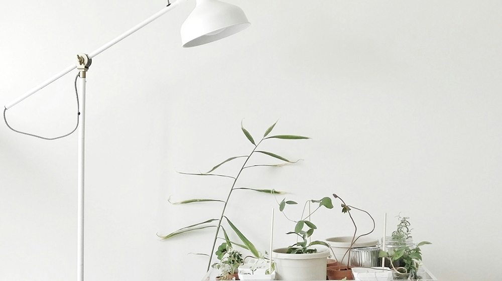 지원내용 이미지